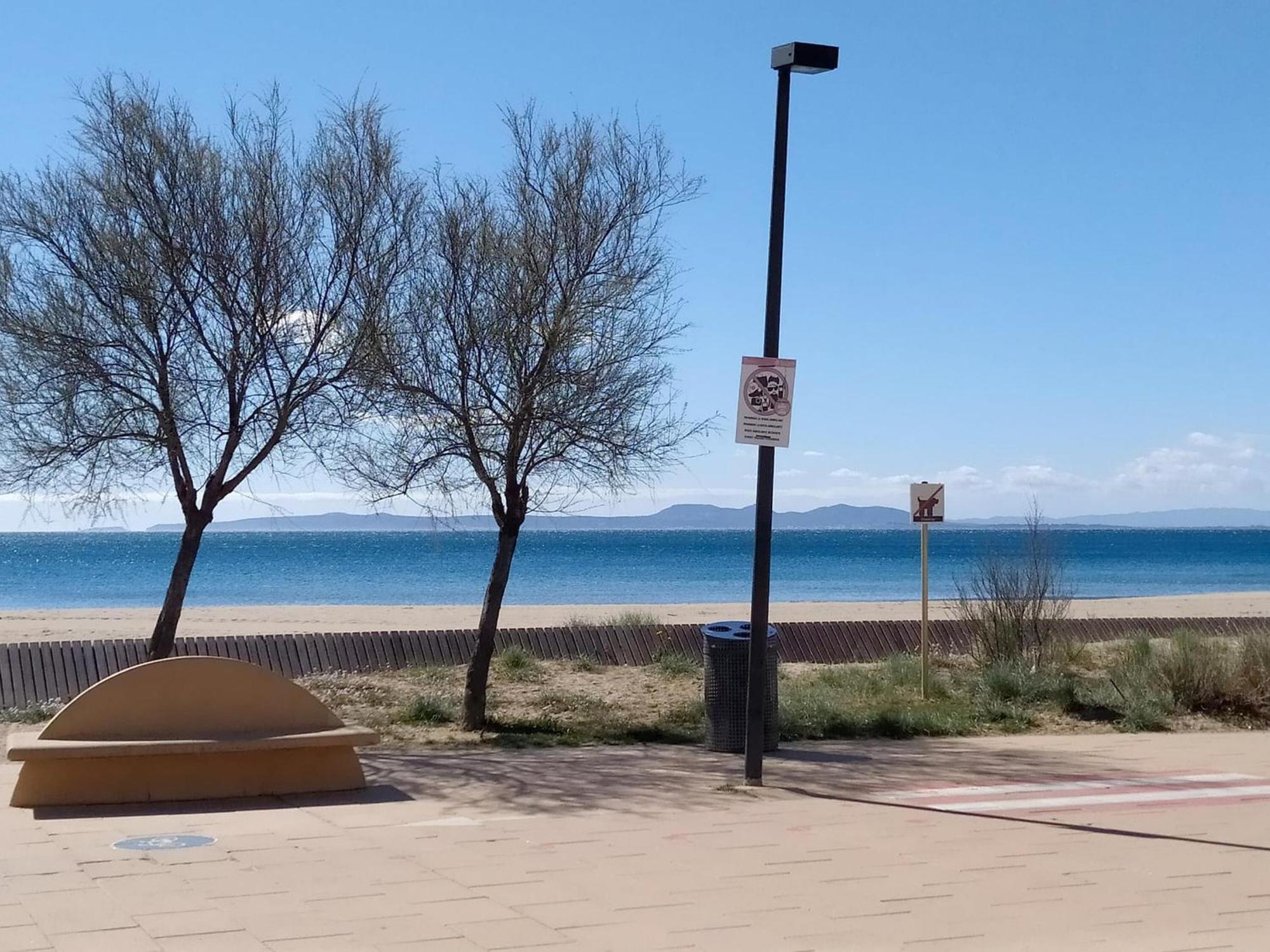 Apartamento Alquiler De Moderno De 2 Con Jardin Privado, - Es-366-7 *